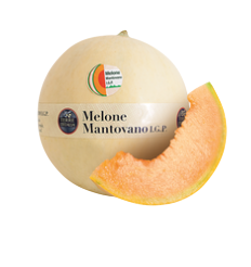 Melone Mantovano I.G.P. Terre d'Italia
