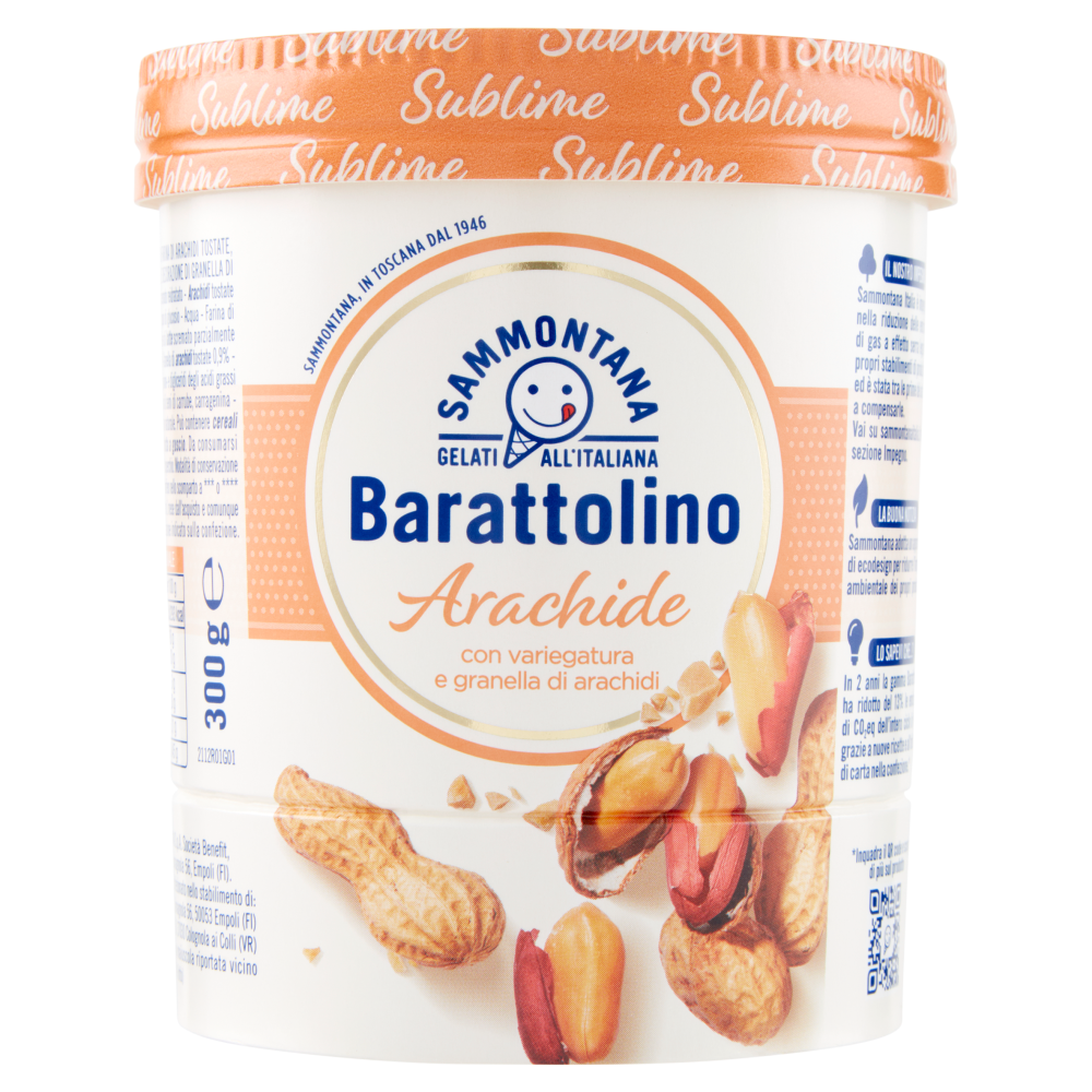 Sammontana Barattolino Sublime Arachide 300 g