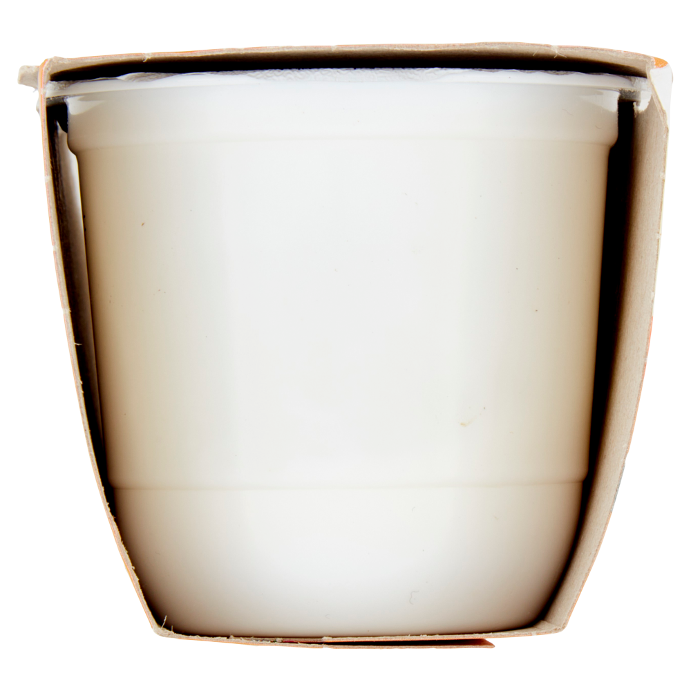 ZYMIL Alta Digeribilità Senza Lattosio Yogurt Bianco 2 x 125 g