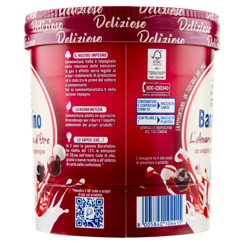 Sammontana Barattolino Delizioso l'Amarena di Coppa d'Oro 500 g