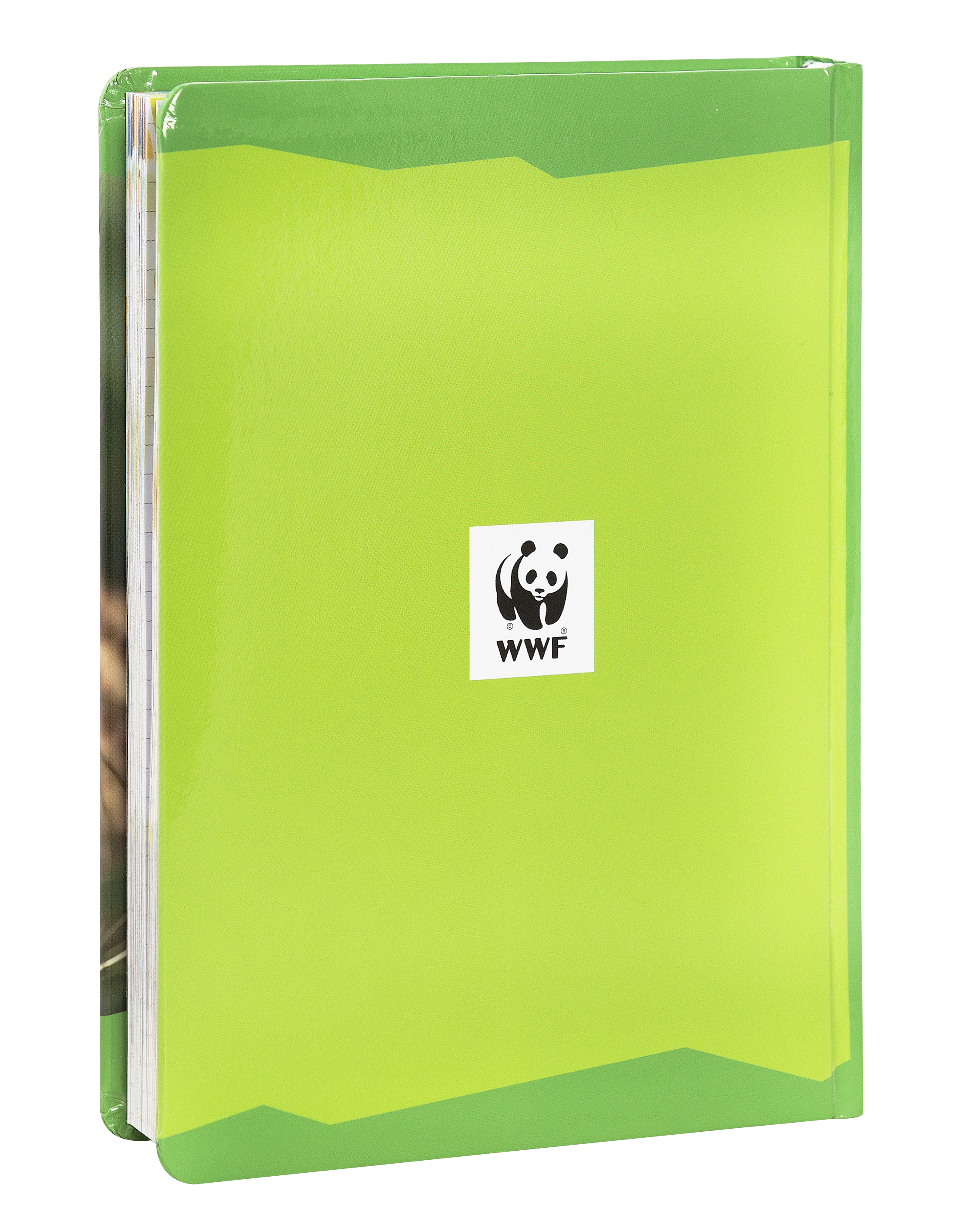 Carrefour 8058263229227 Diario Diario scolastico