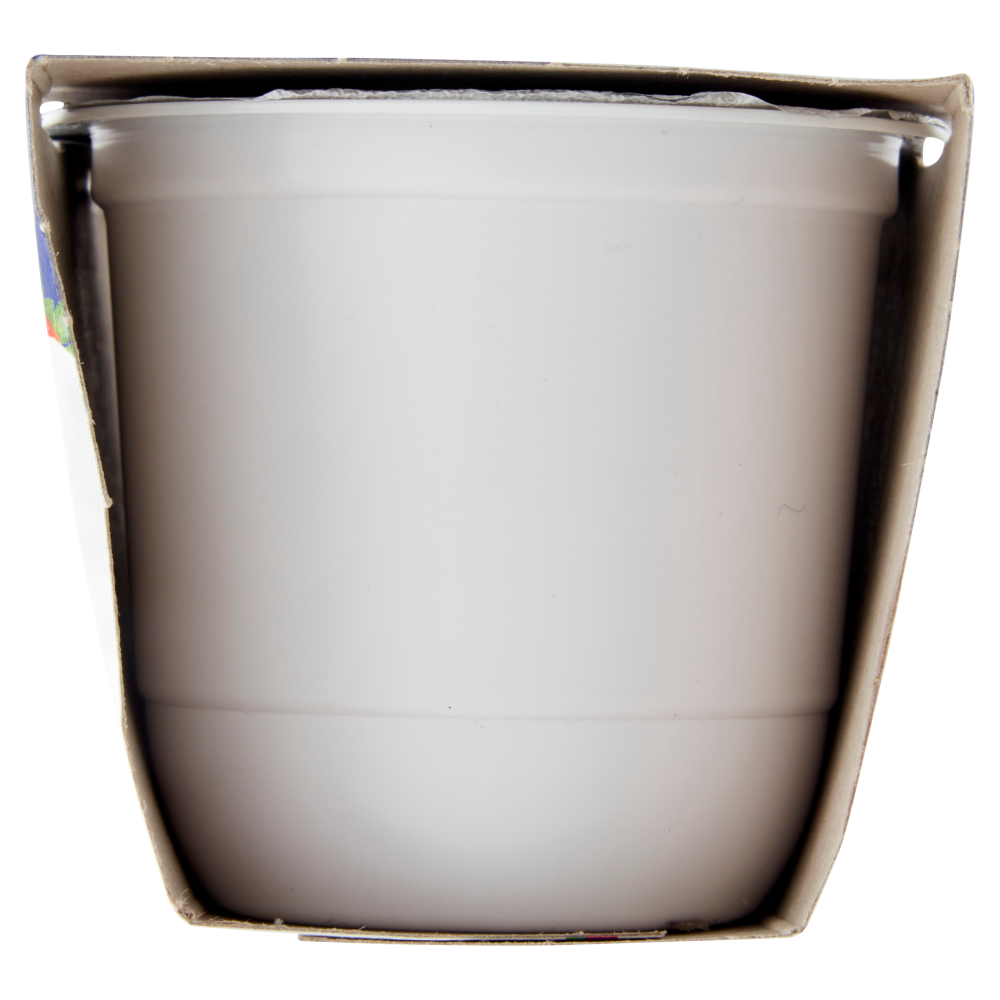 Centrale del Latte di Roma Fragola Yogurt Intero 2 x 125 g