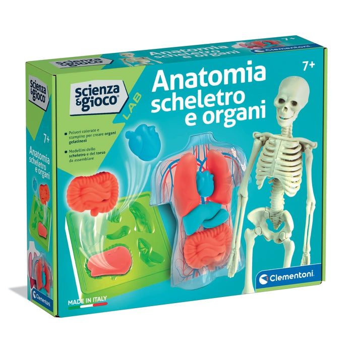 Clementoni Science & Play Anatomia Scheletro E Organi