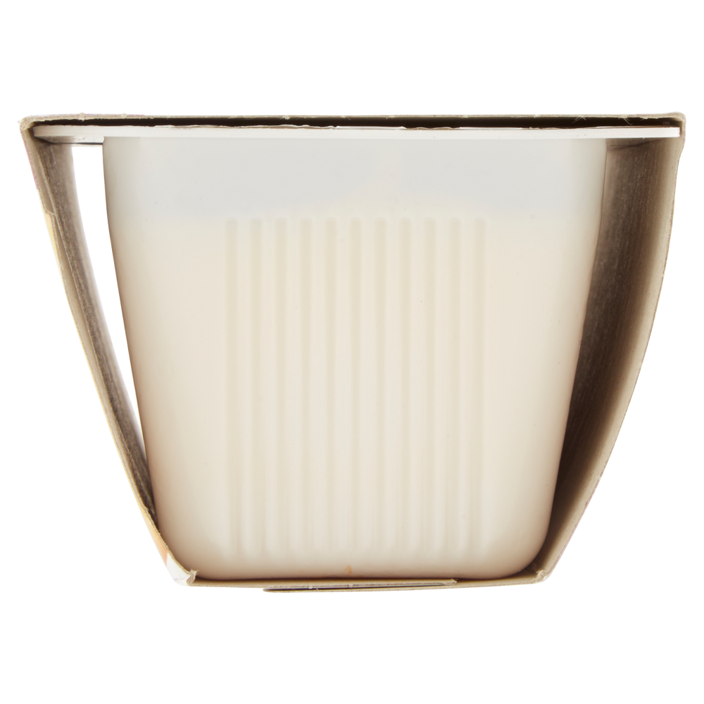 Carnini il Budino al gusto Vaniglia 2 x 100 g