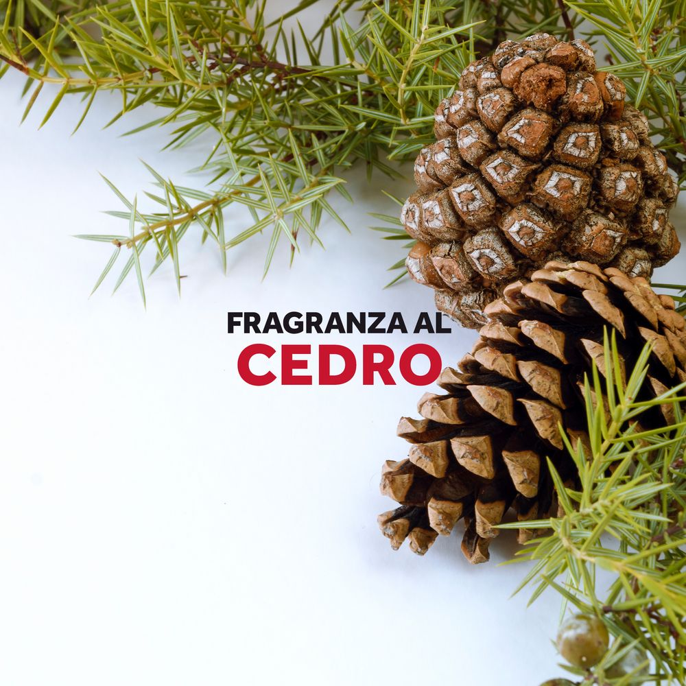 Raid Anti Tarme Gel Vestiti, Per Capi Piacevolmente Profumati, Fragranza al Cedro, 2 Pezzi