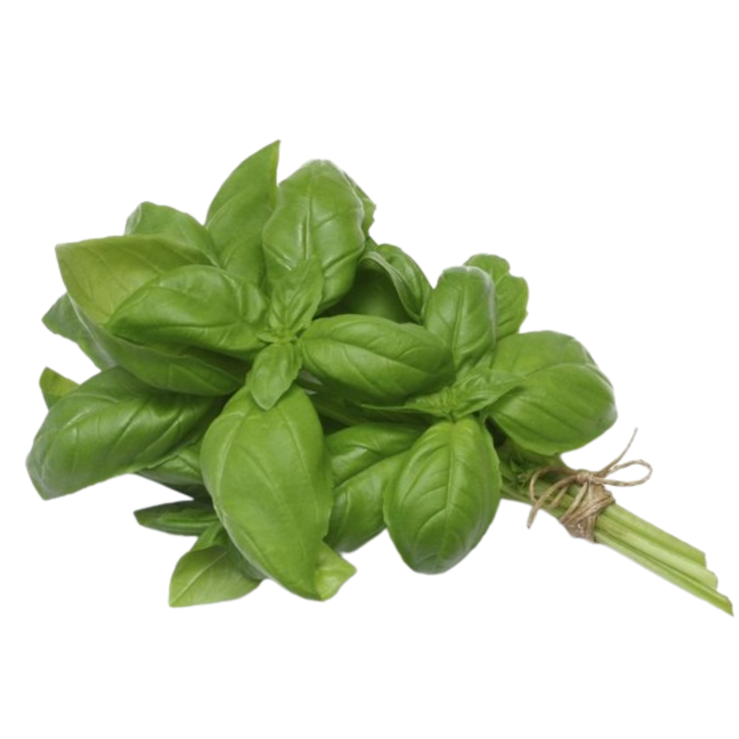 Basilico Bouquet Bio