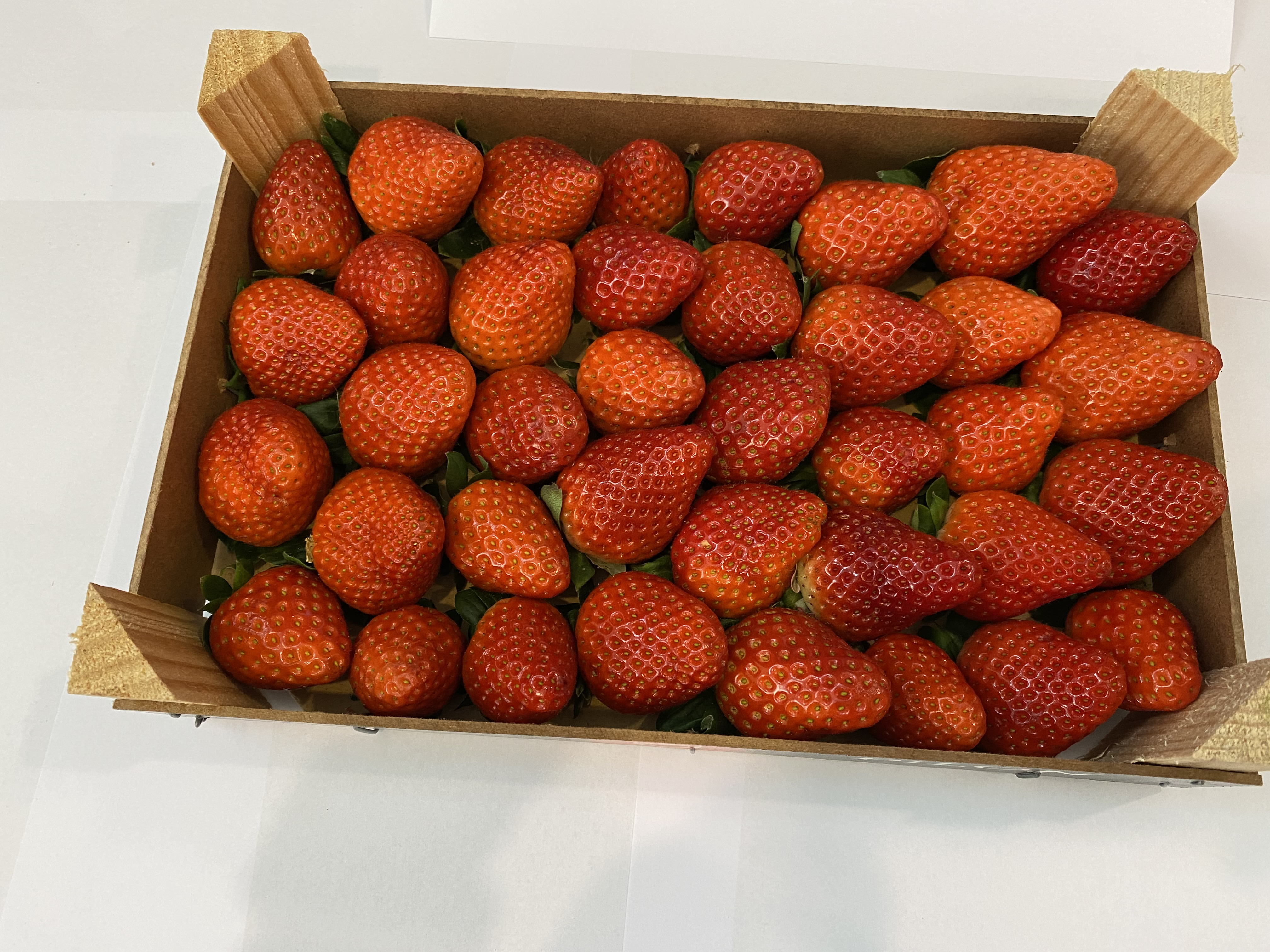 Cassetta di fragole 2 kg