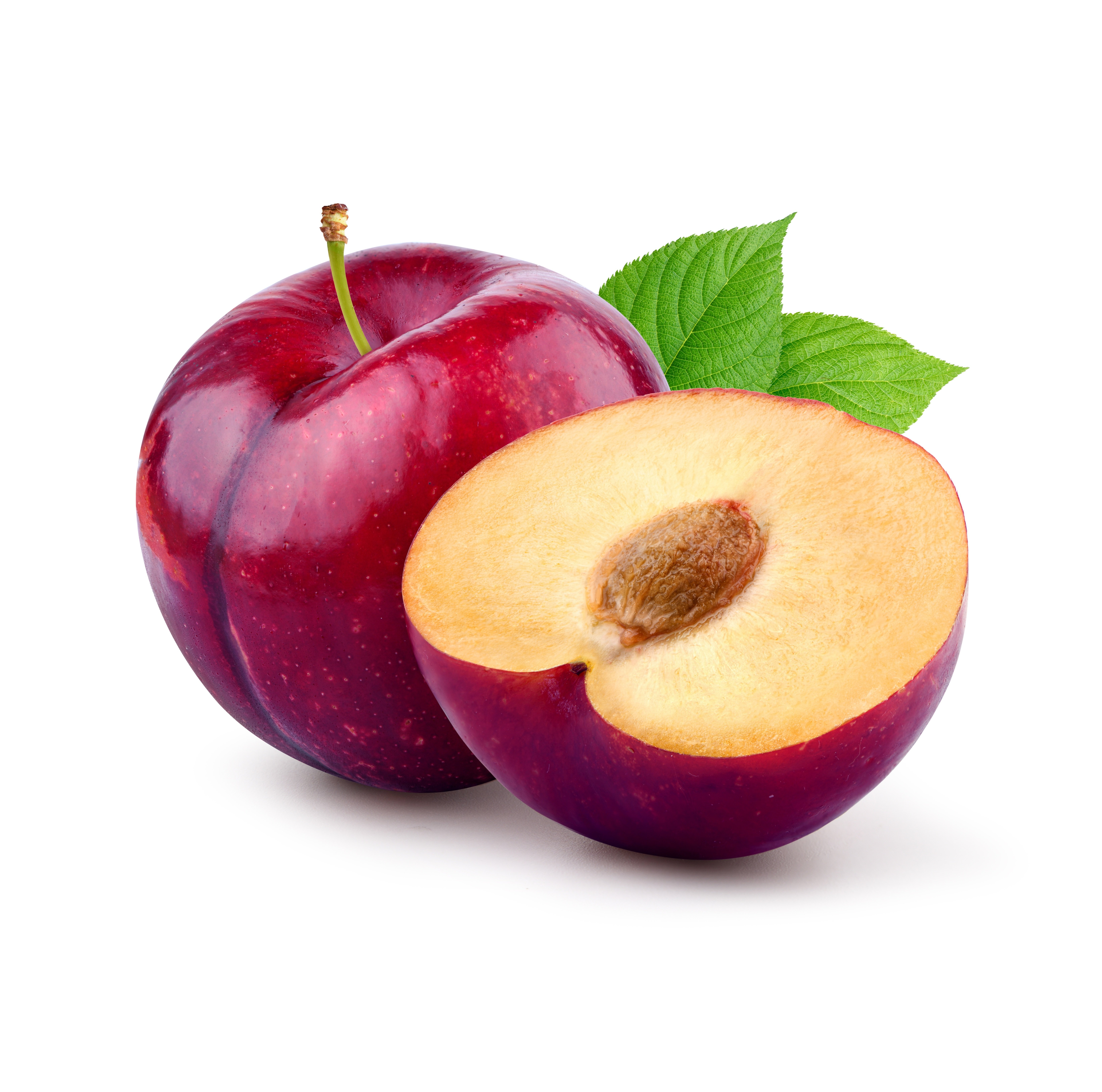 Susine