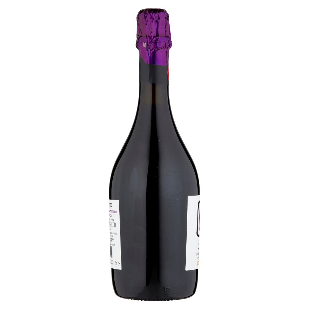 Cantina di Sorbara Stelo Lambrusco Grasparossa di Castelvetro DOP 75 cl