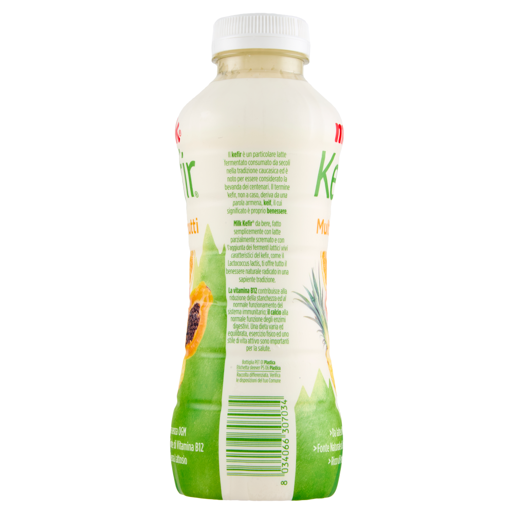 Milk Kefir Multifrutti 480 g