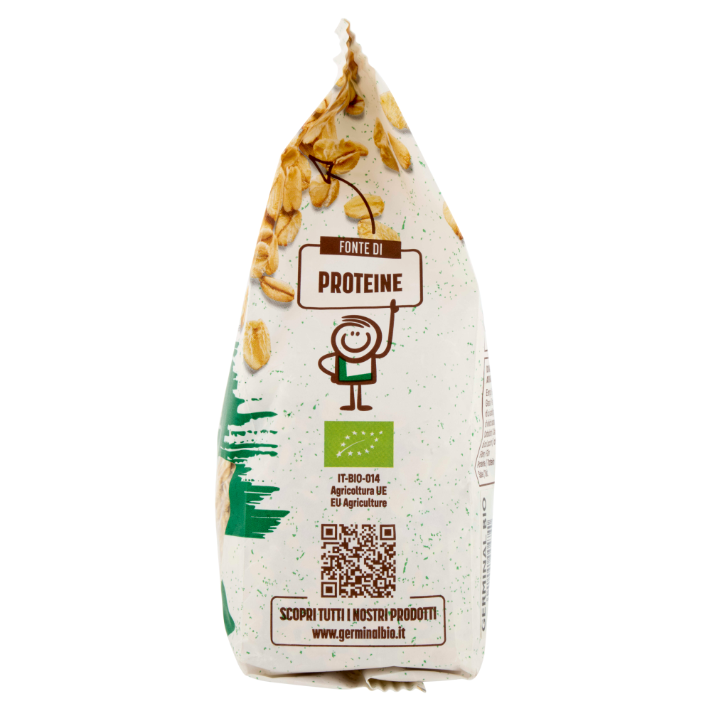 Germinal Bio Senza Glutine Fiocchi di Avena Integrale 300 g
