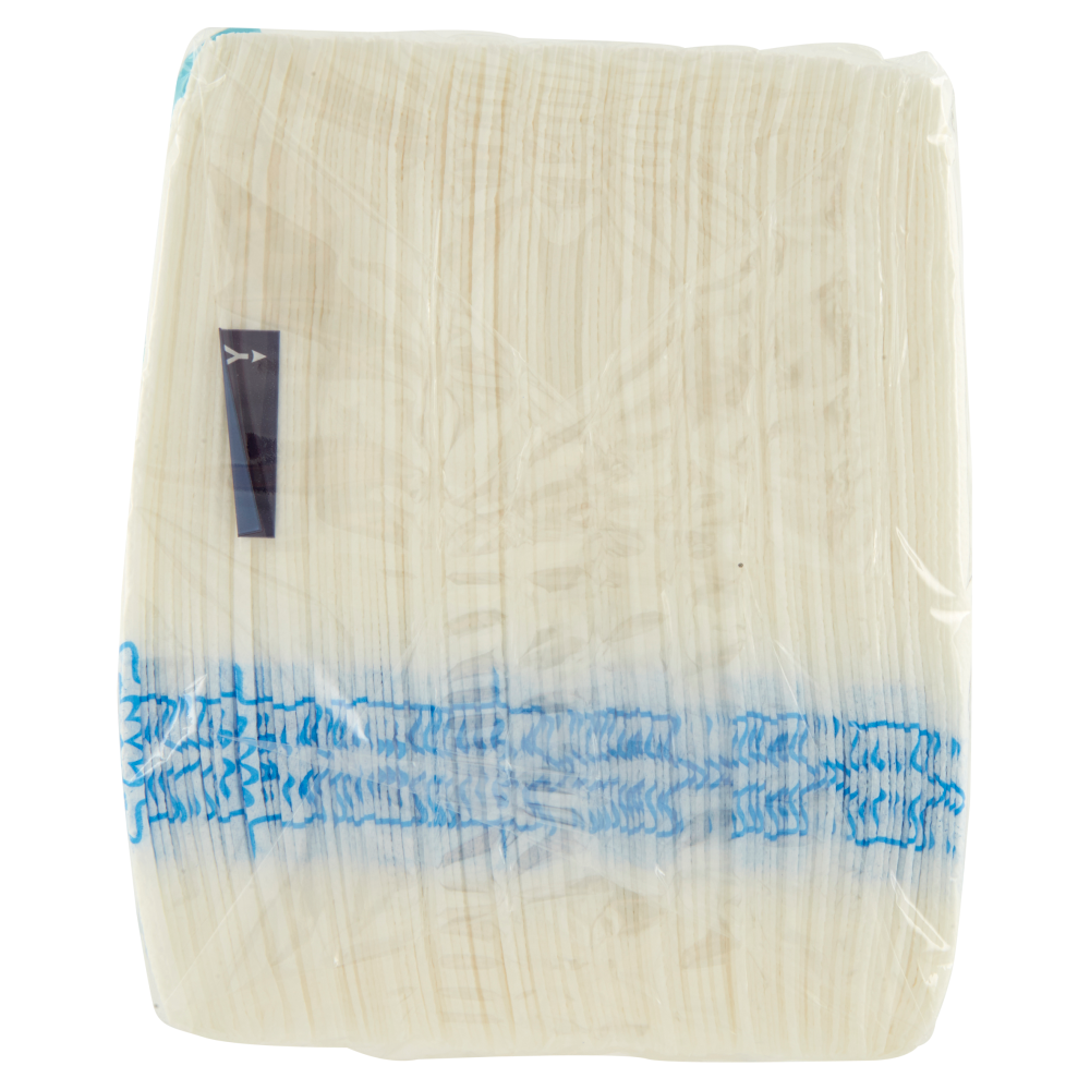 Regina Maxi tovaglioli 1 velo 29x33 250 pezzi