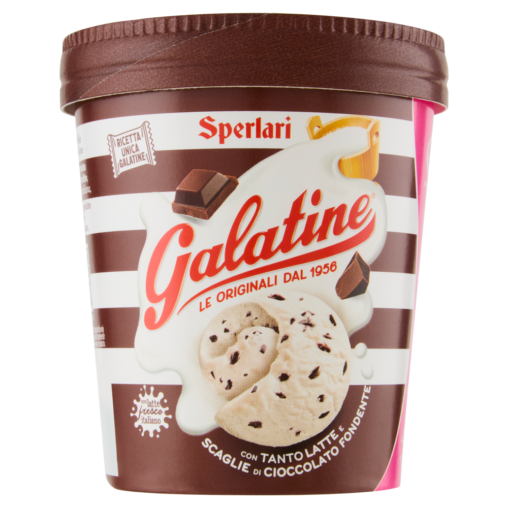 Galatine Gelato con Tanto Latte e Scaglie di Cioccolato Fondente 500 ml