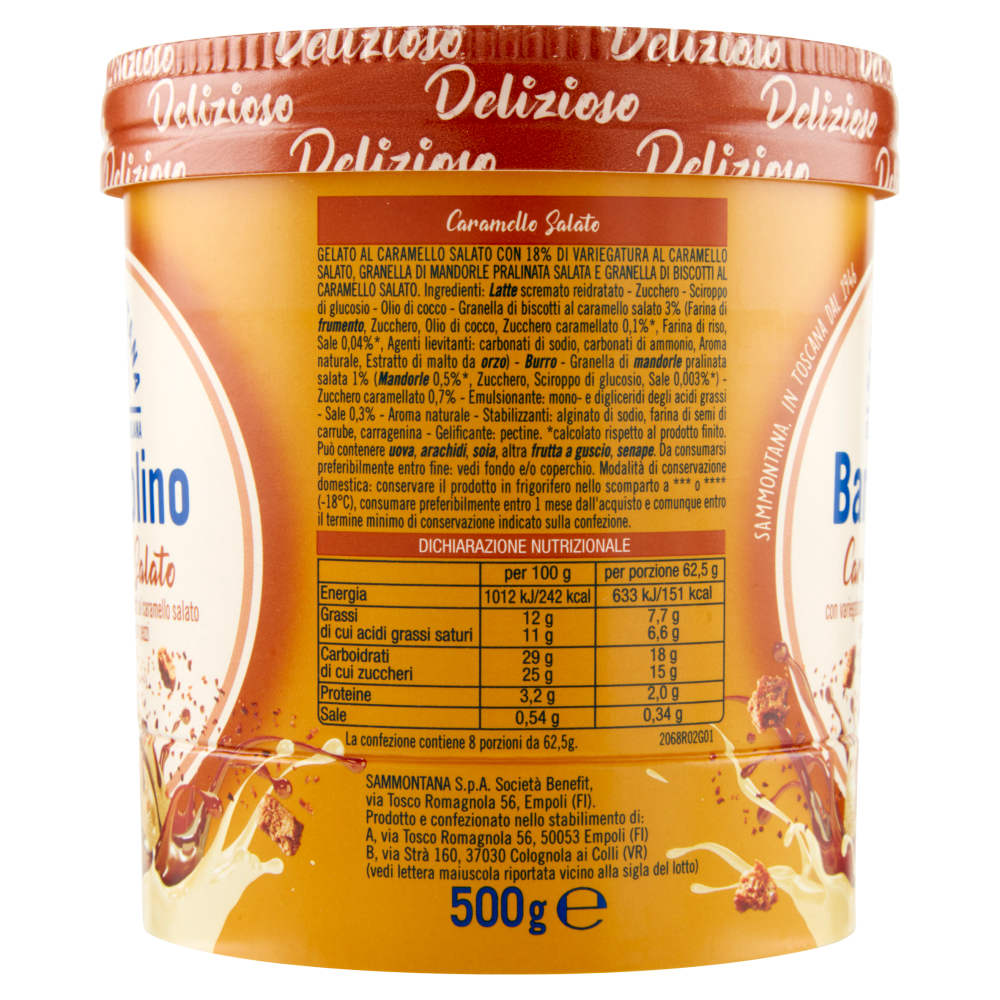Sammontana Barattolino Delizioso Caramello Salato 500 g