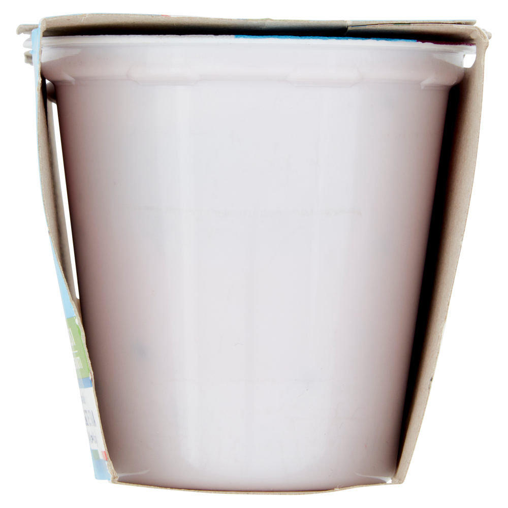 Carrefour Classic Yogurt Magro Frutti di Bosco 2 x 125 g