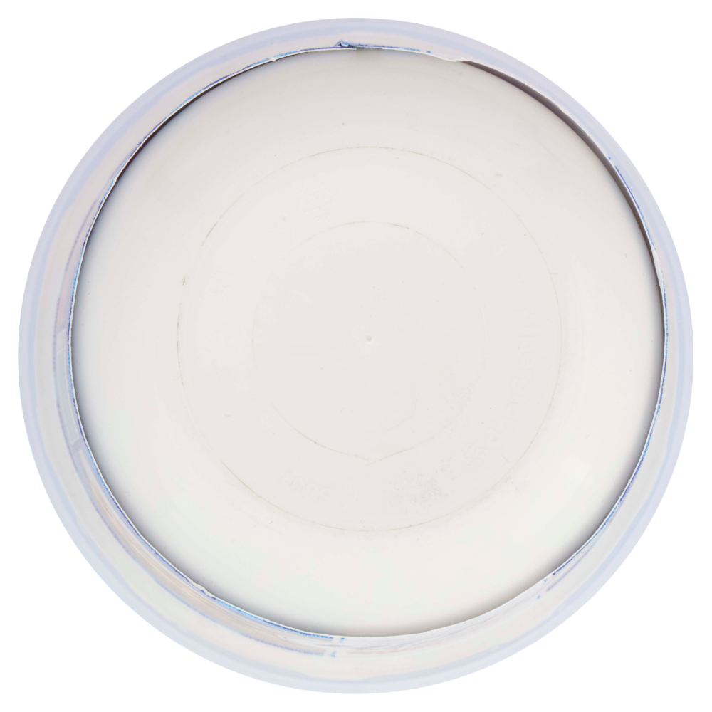 Galbani Santa Lucia Mascarpone 500 g