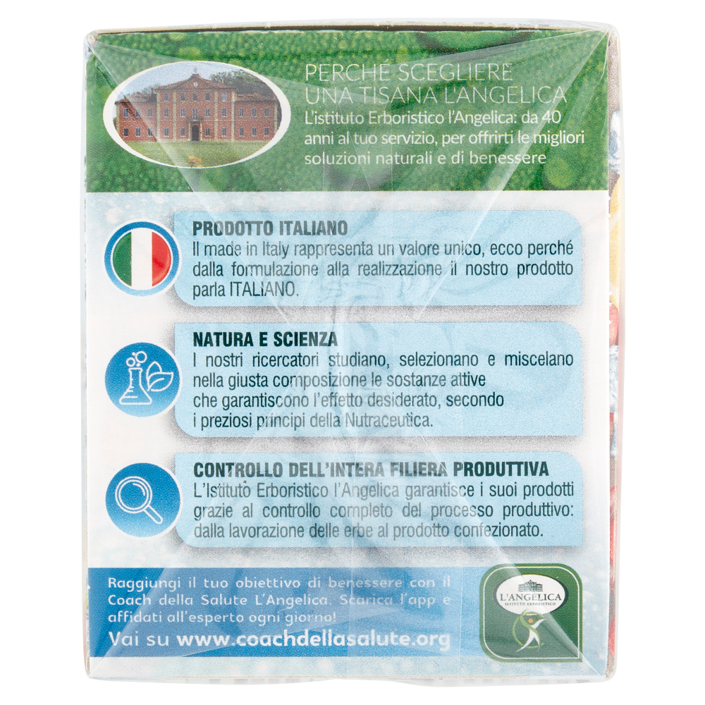 L'Angelica Tisana a Freddo Sgonfiante Digestiva 18 Filtri 39.6 g