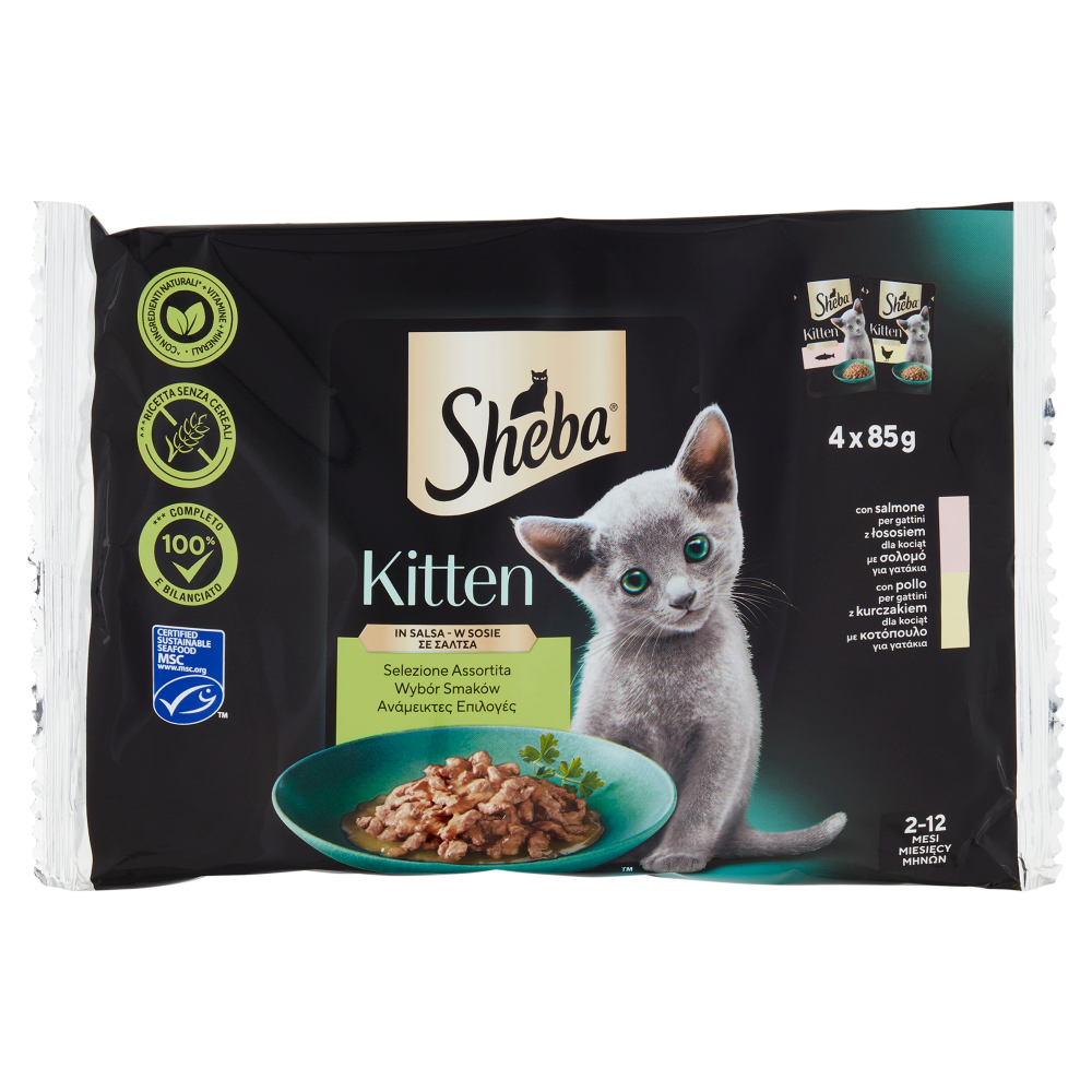 Sheba Kitten in salsa cibo umido gatto gattino Selezione Assortita 4x85g