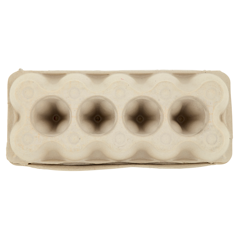 Fantolino 10 Uova Fresche da Allevamento a Terra 550 g