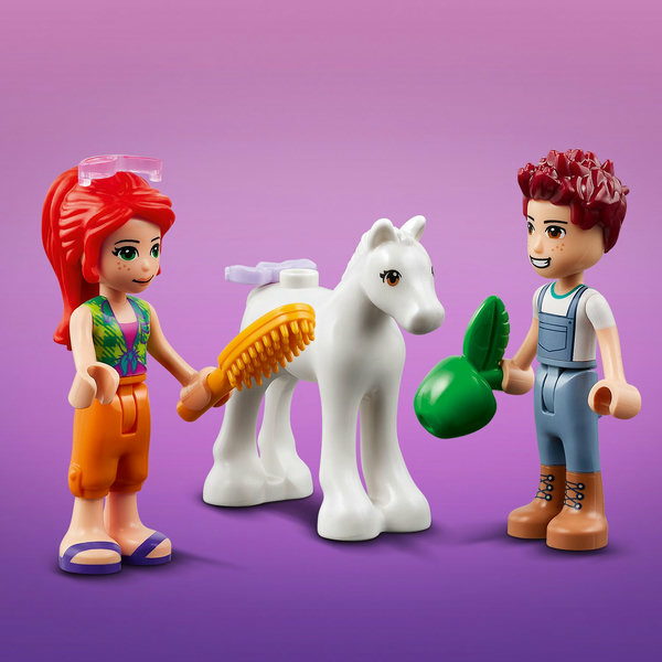 LEGO Friends Stalla di toelettatura dei pony