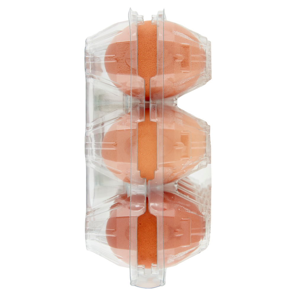 Coccodì Family 15 Uova Allevate a Terra 