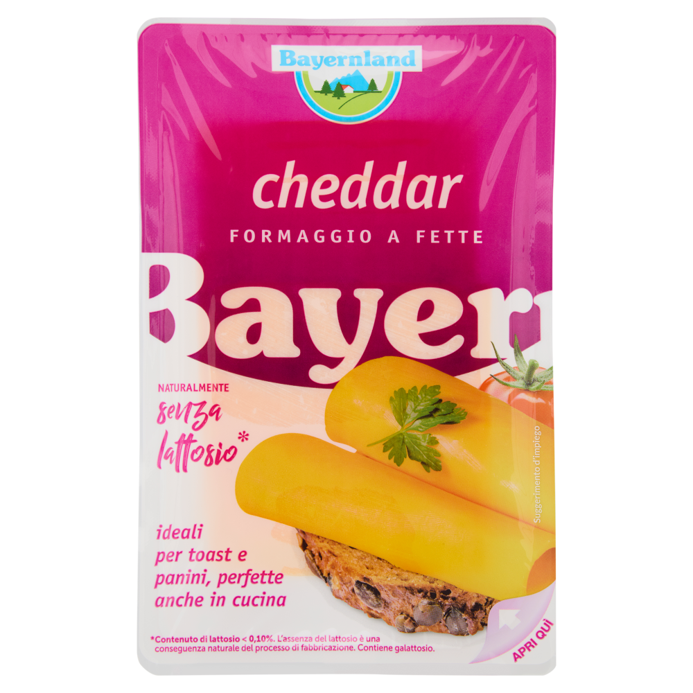 Bayernland cheddar Formaggio a Fette 100 g