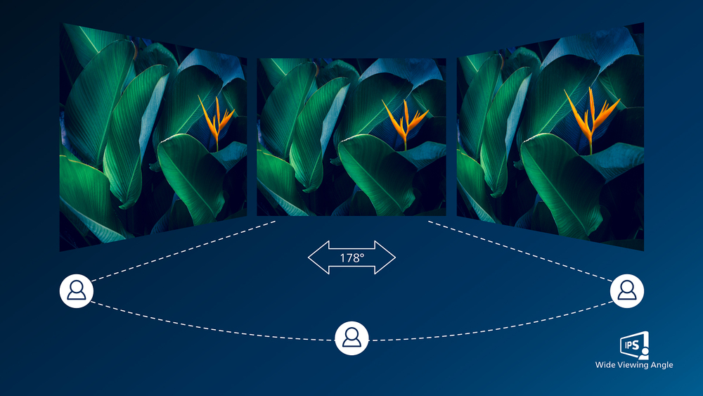 Philips Serie 1000 24E1N1100A/00 Monitor PC 60,5 cm (23.8") 1920 x 1080 Pixel Full HD LCD Nero