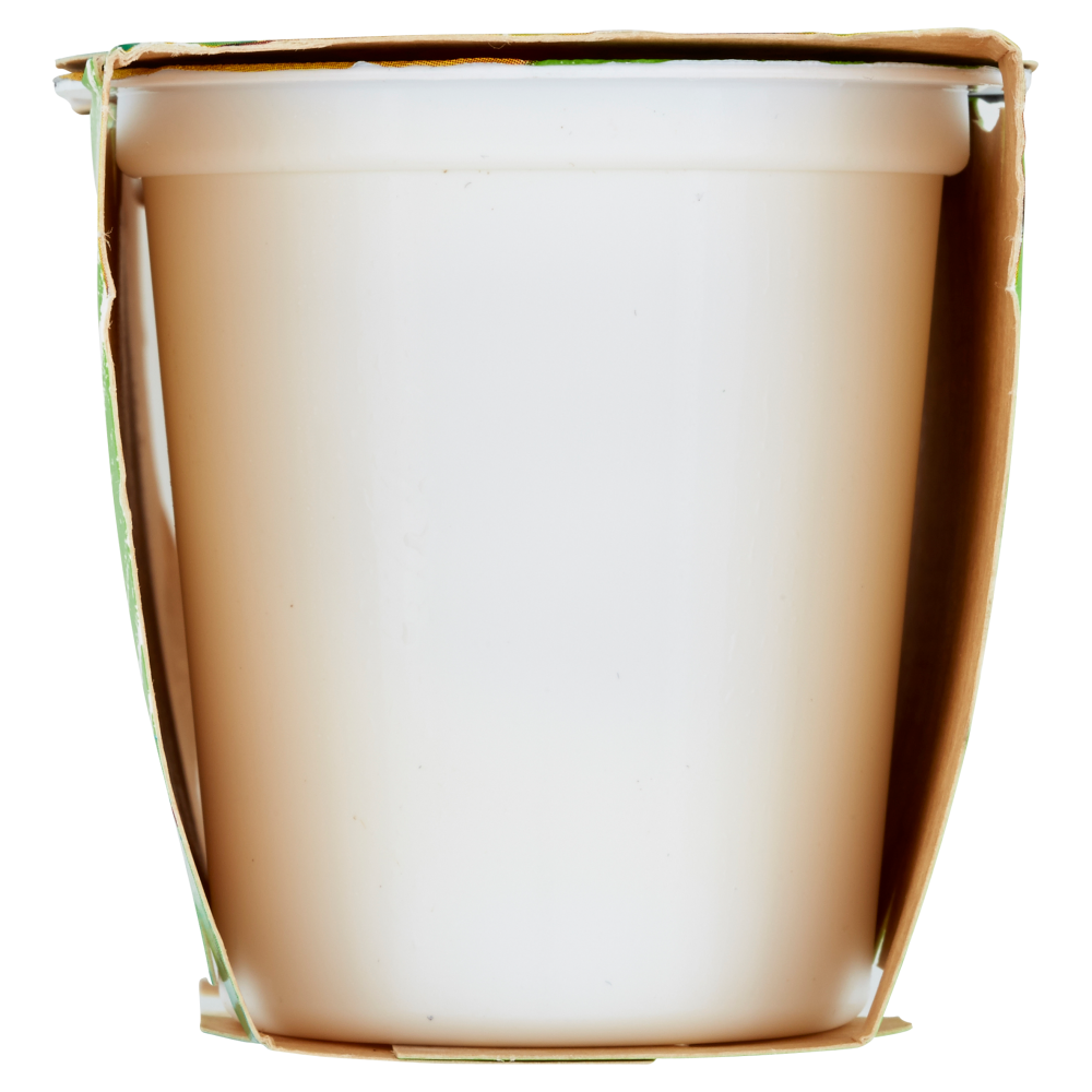 Centrale del Latte di Torino Tapporosso Yogurt Magro Limone 2 x 125 g