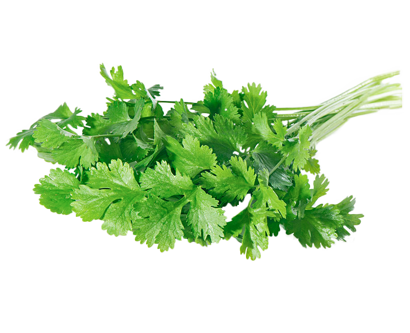 Prezzemolo di Origine Locale