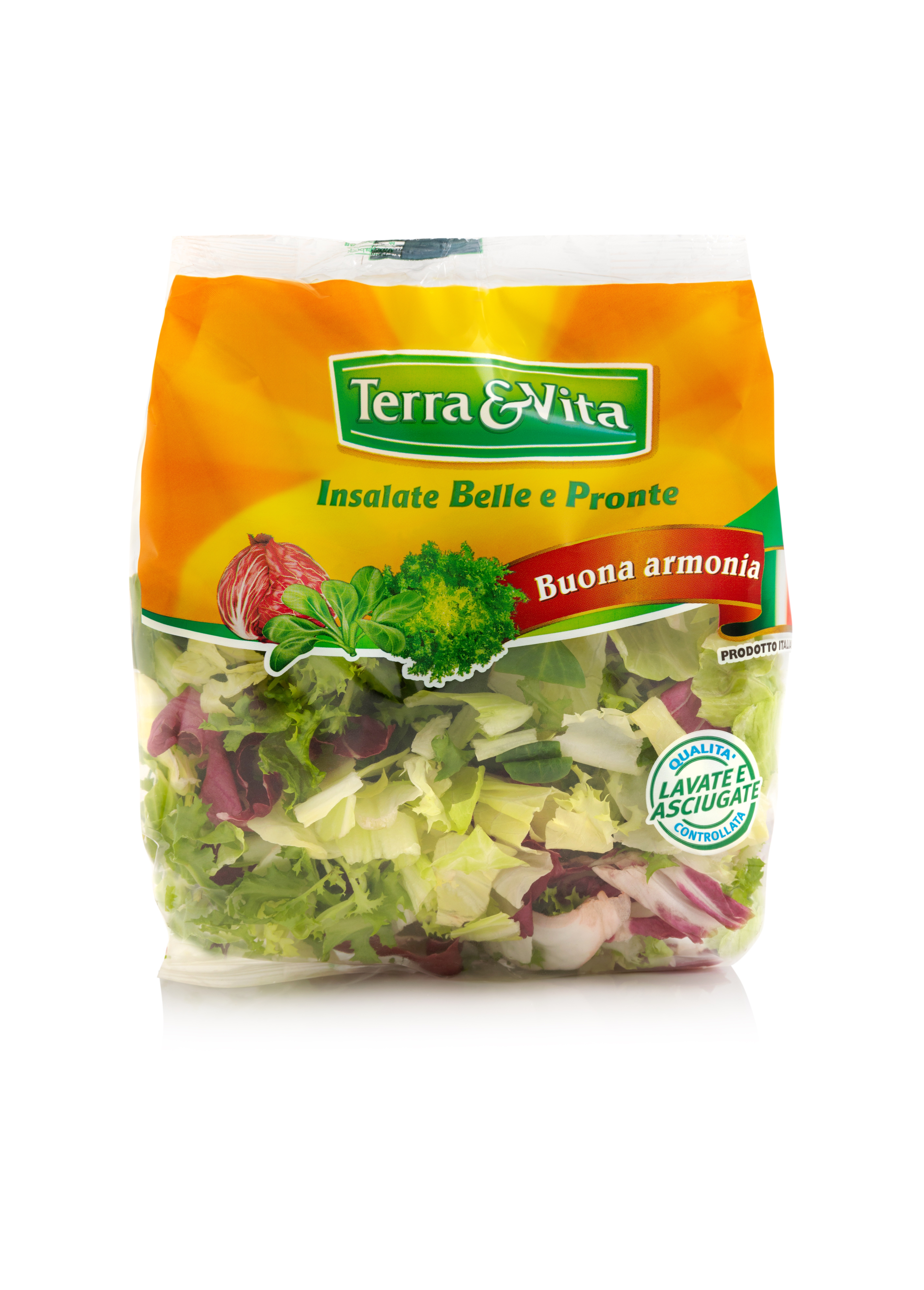 Insalata Buona armonia
