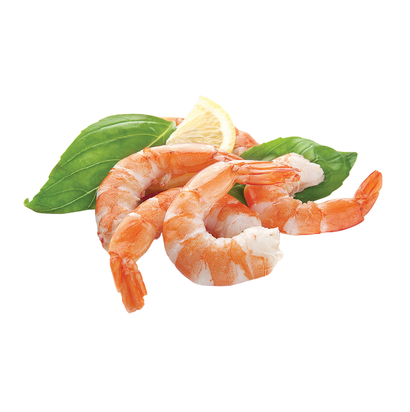 Mazzancolle Cotte 30/50