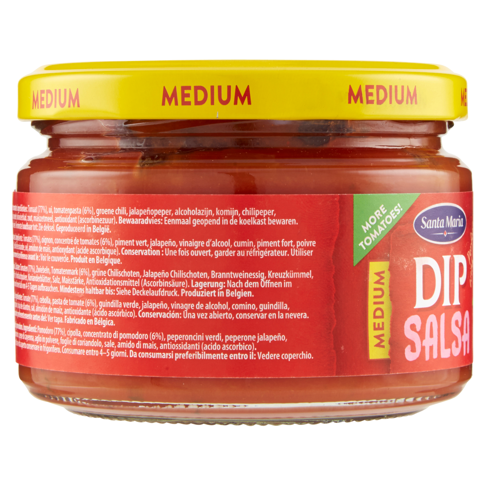 Santa Maria Dip Salsa Medium 250 g
