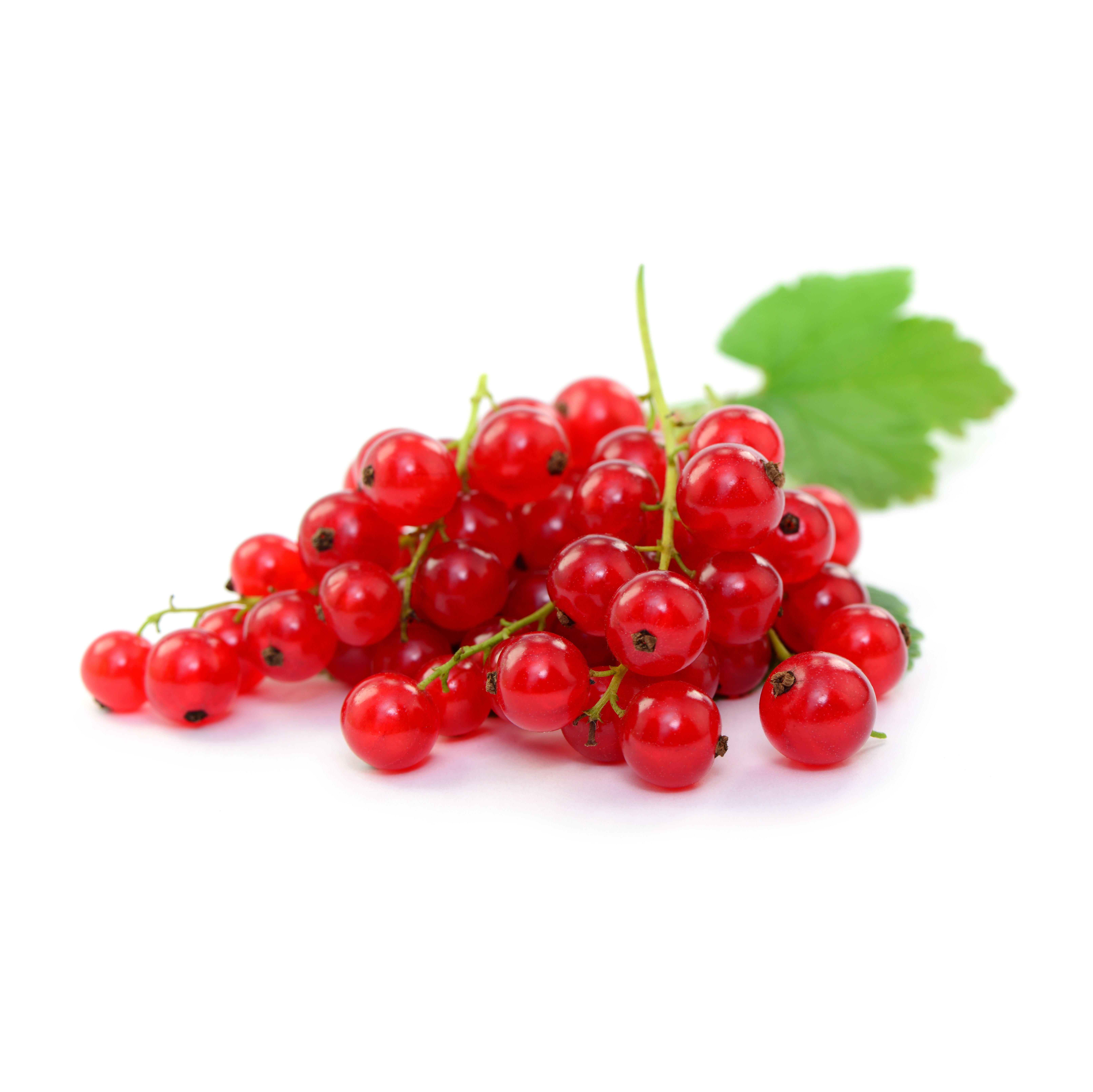 Ribes Il Mercato 125 g