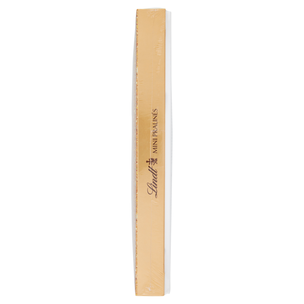 Lindt Mini Praline Cioccolatini assortiti Scatola 180 g