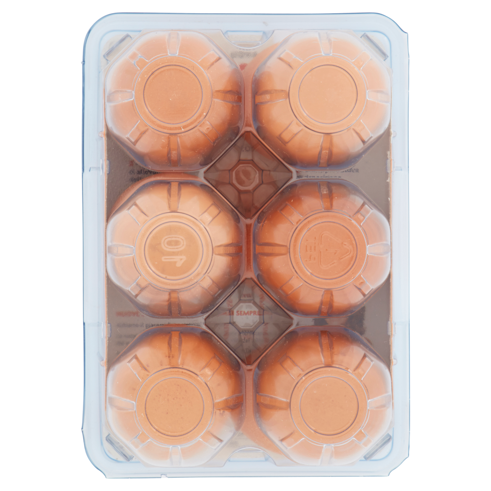 Fantolino Buongiorno 6 Uova Fresche da Allevamento a Terra Taglia L