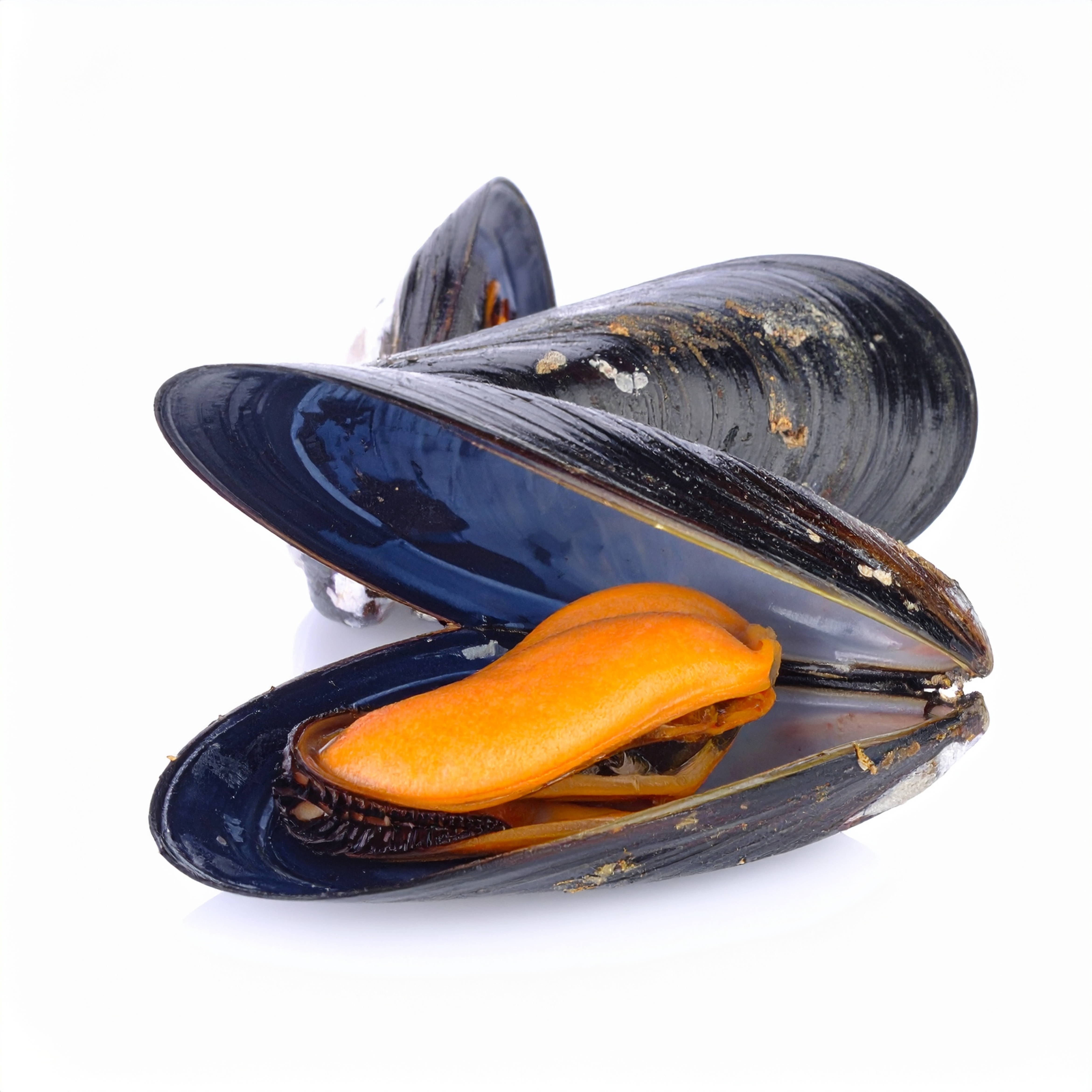 Cozze 1 kg