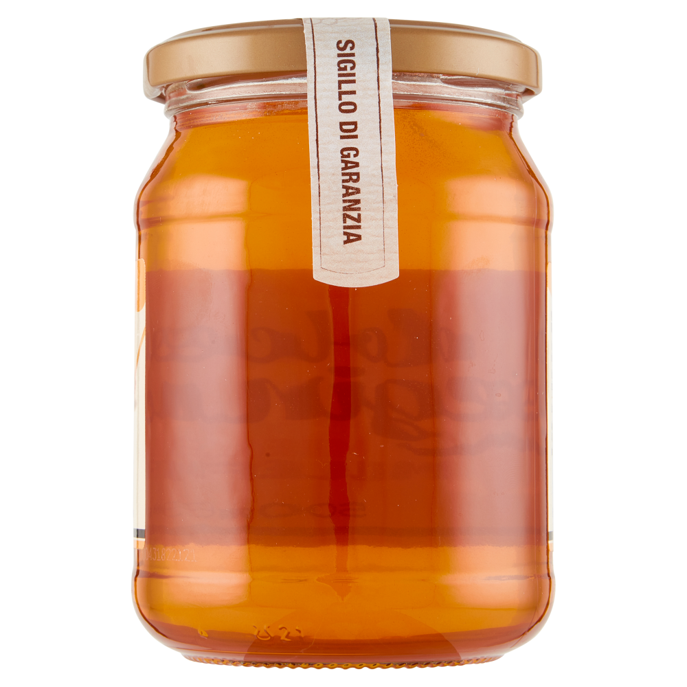 dolce Regina Miele Millefiori 500 g