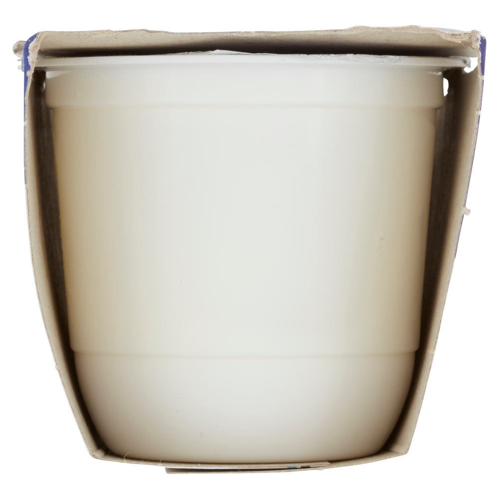 Centrale del Latte di Roma Bontà Centrale Yogurt intero bianco 2 x 125 g