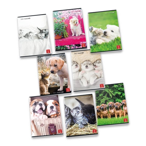 Pigna 8005235100435 quaderno per scrivere A4 42 fogli Colori assortiti