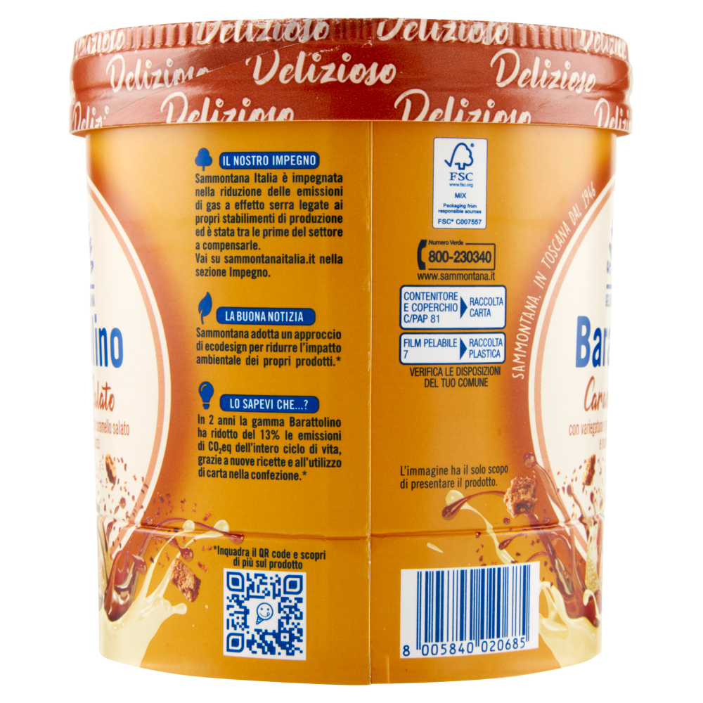 Sammontana Barattolino Delizioso Caramello Salato 500 g