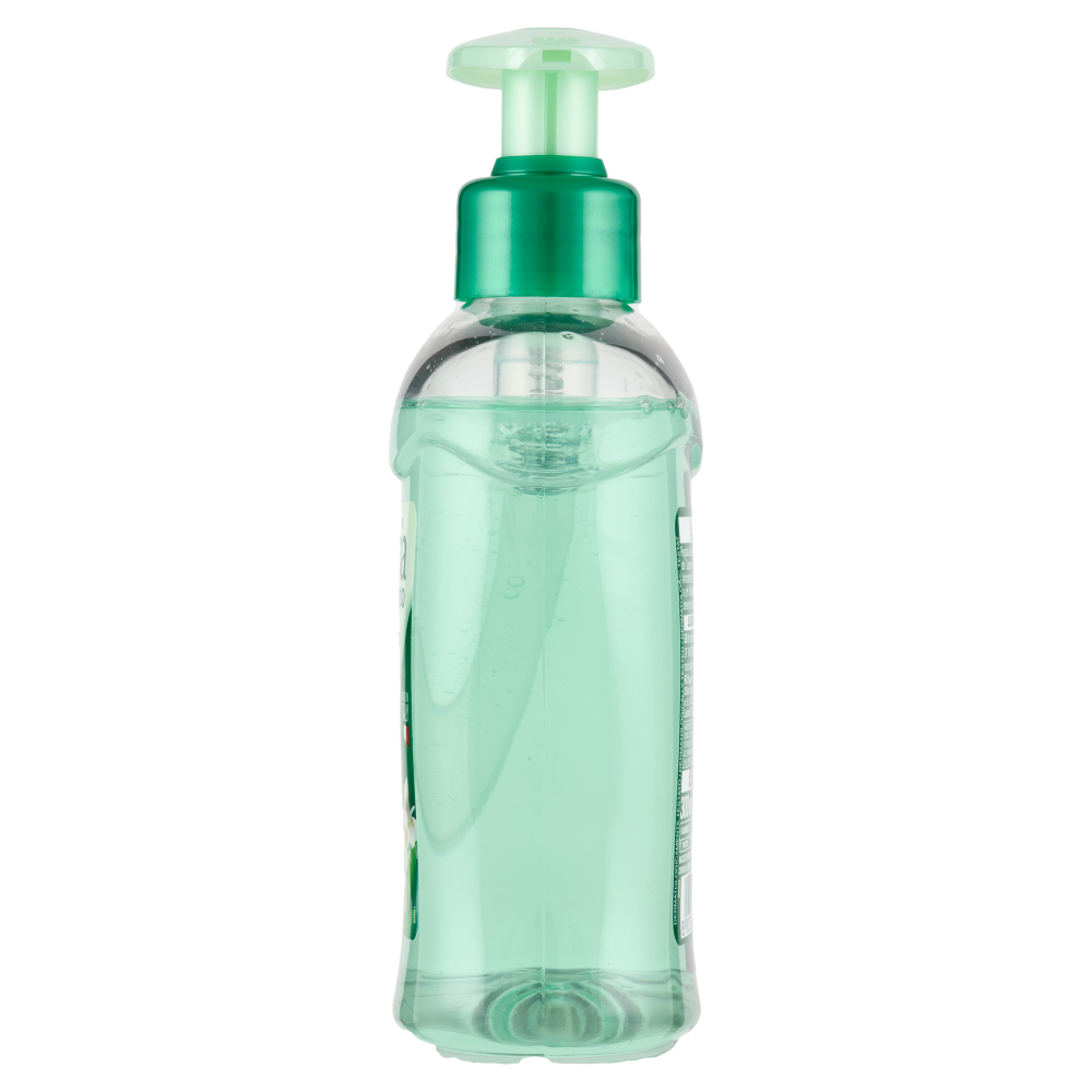 Malizia Sapone Liquido con Antibatterico tè verde e menta 300 mL