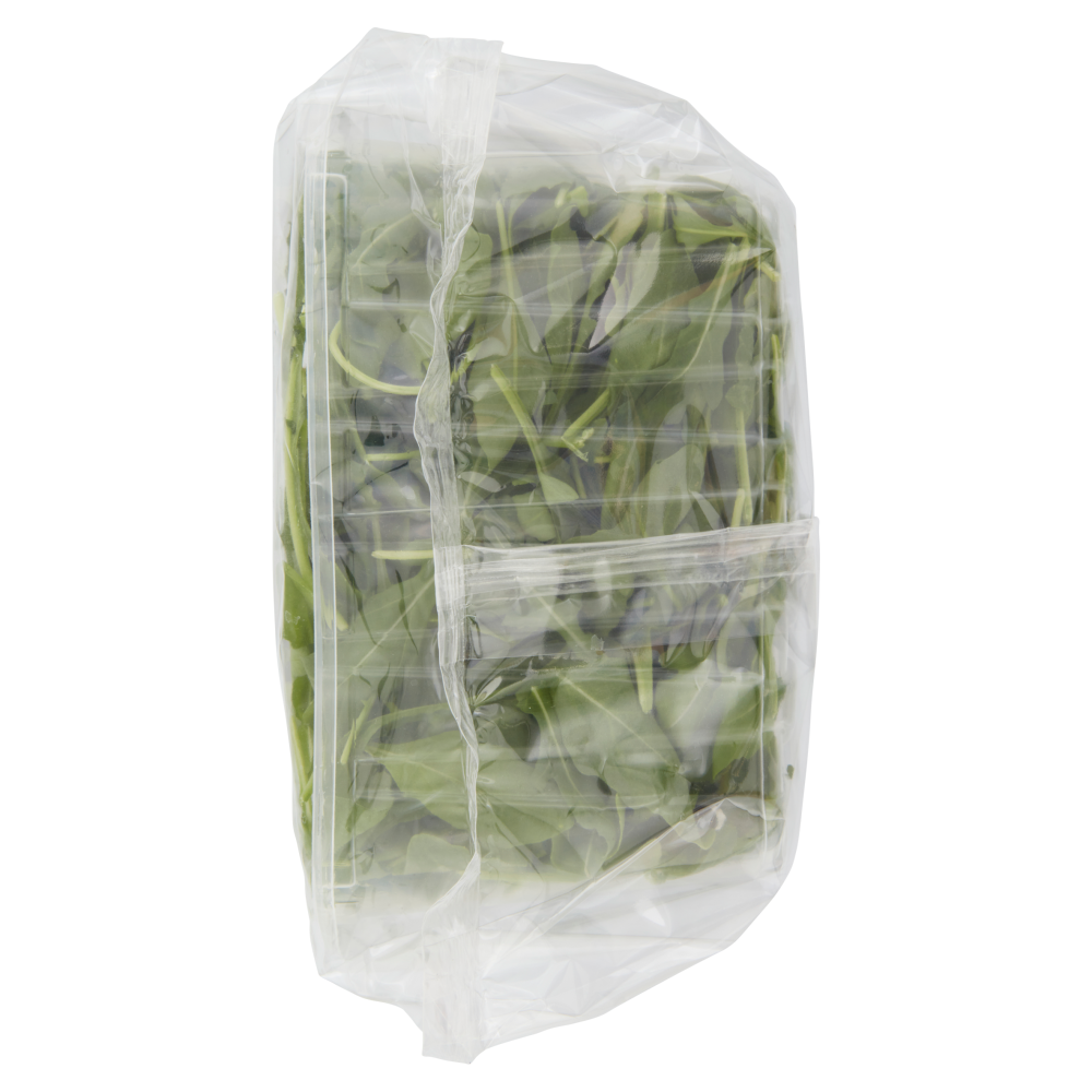Almaverde bio Rucola Bio 100 g