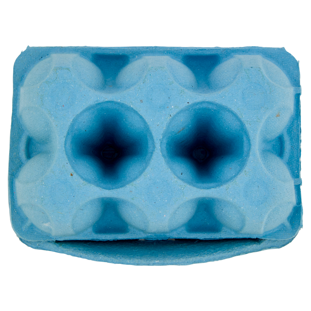 le Naturelle Fonte di Vitamina D 6 Uova Fresche da Allevamento all'Aperto 330 g