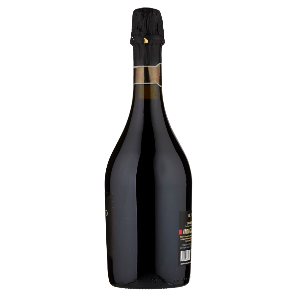 Righi Notturno Lambrusco di Modena DOC Scuro 750 ml