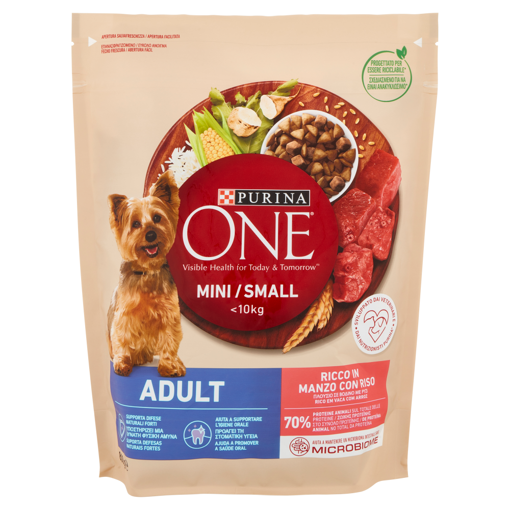 PURINA ONE Mini/Small Adult Ricco in Manzo con Riso 800 g