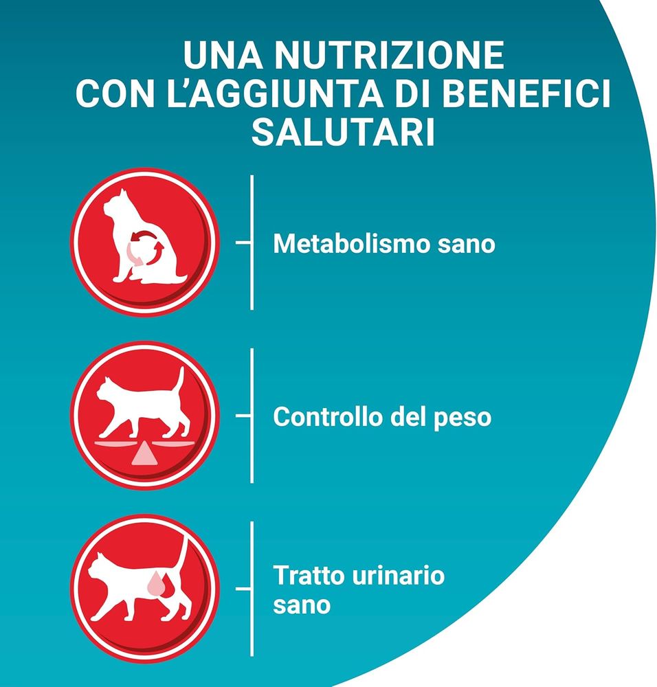 PURINA ONE Sterilcat Cibo secco per Gatti Adulti sterilizzati con Manzo e Frumento sacco da 800g