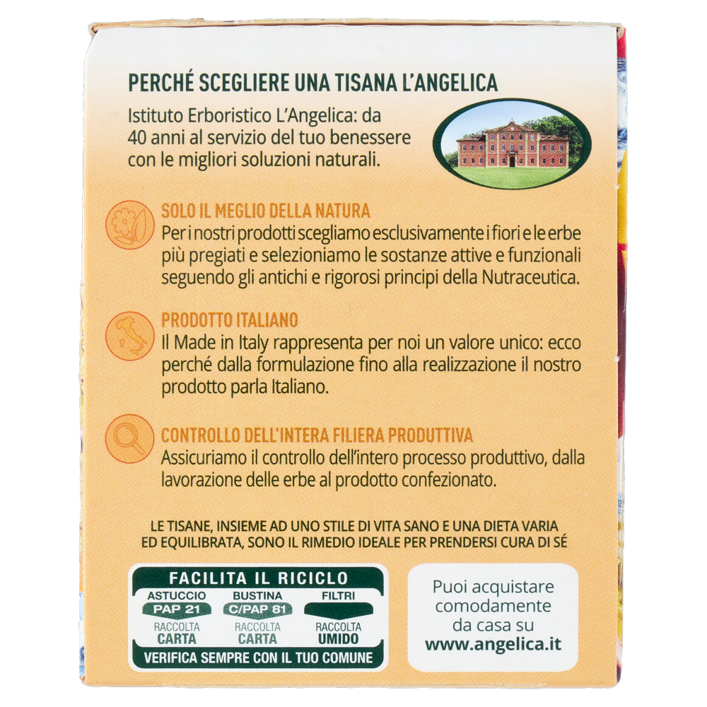 L'Angelica il Buono della Frutta Tisana Fredda Mango & Passion Fruit 18 Filtri 32,4 g