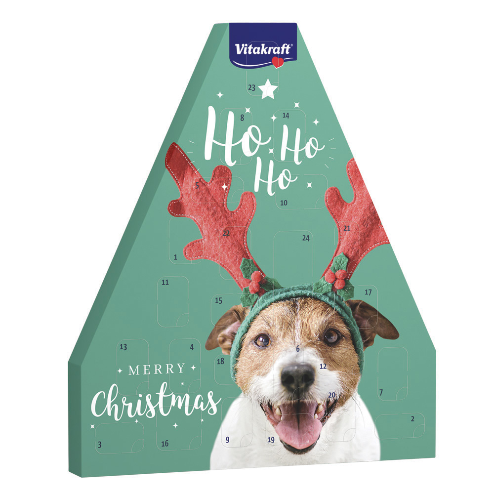 Calendario Avvento cane