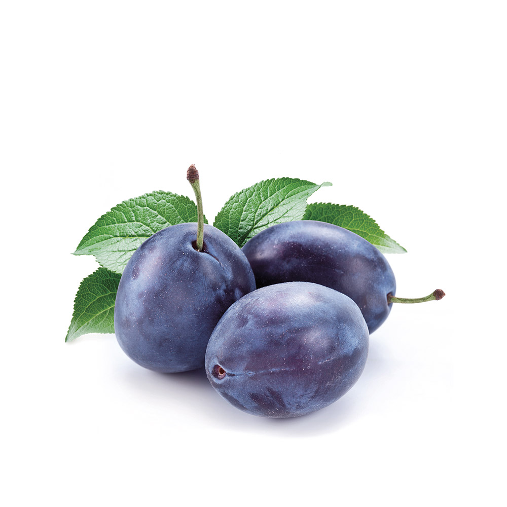 Susine Convenienza 500 g