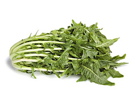 Catalogna spigata sfusa origine Italia